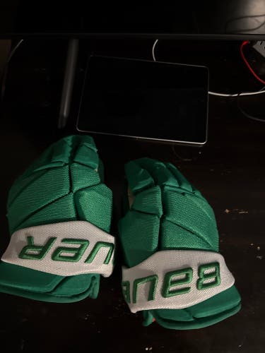 Minnesota Wild Winter classic gloves