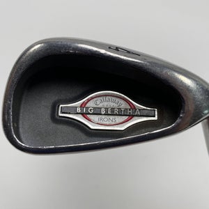 Callaway Big Bertha 2002 Single 4 Iron True Temper Dynamic Gold R300 Regular RH