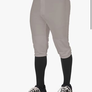 Used Champro BB KNICKER M GRY BB/SB Pant Mens Grey MD 11834-S000018530