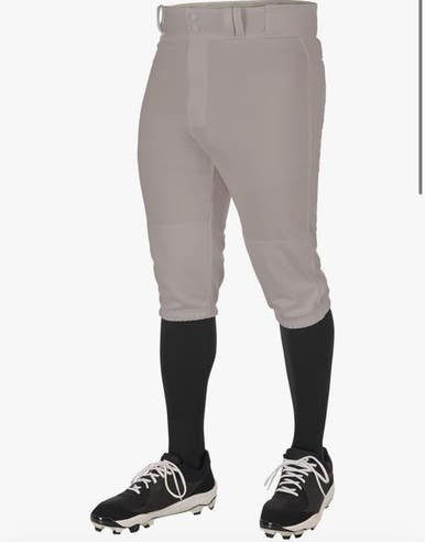 Used Champro BB KNICKER BB/SB Pant Mens Grey MD 11834-S000014571