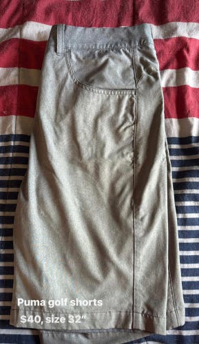 Gray Size 32 Men's Puma Shorts (Used)
