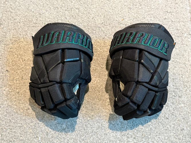 Warrior Pro Series II Gloves 10" (Used)