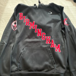 SPHL BIRMINGHAM BULLS HOODIE