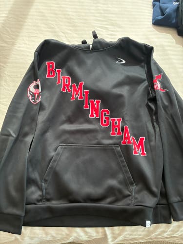 SPHL BIRMINGHAM BULLS HOODIE