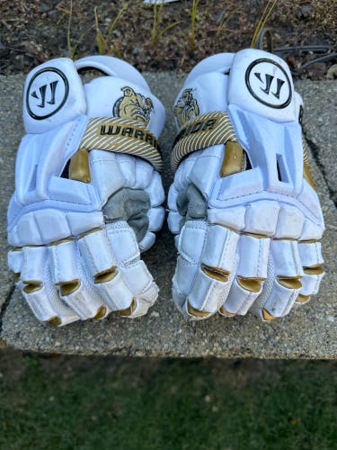 Warrior Burn XP Lacrosse Gloves Large (Used)