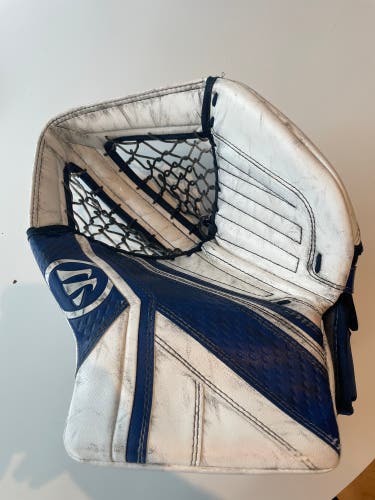 Warrior Ritual G6 Pro+ Glove (Used)