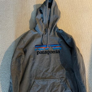 Gray Patagonia Men's Large Patagonia Sweatshirt (Used)