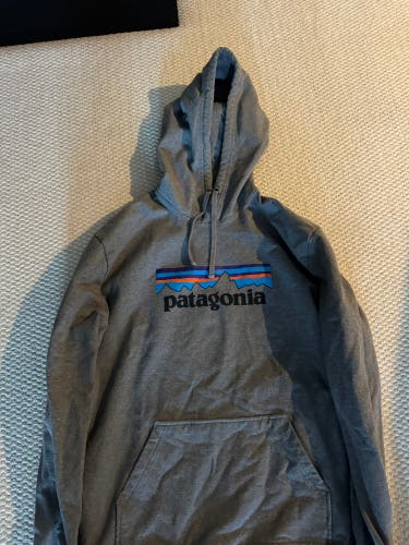 Gray Patagonia Men's Large Patagonia Sweatshirt (Used)