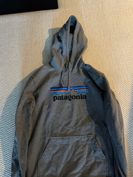 Gray Patagonia Men's Large Patagonia Sweatshirt (Used)
