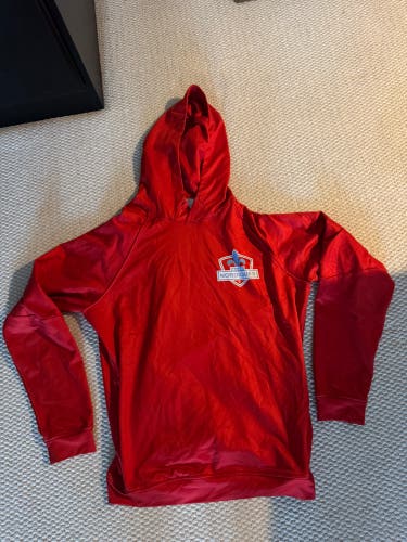 Maine Nordiques NAHL Men's Large hoodie  (Used)