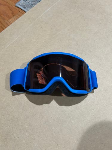 Smith Ski Goggles (Used)