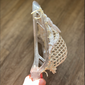 *RARE* Brine Edge ICE Head
