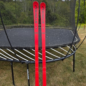 Stockli LASER GS FIS 188 cm Skis Flat (Used)