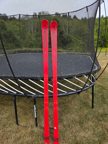 Stockli LASER GS FIS 188 cm Skis Flat (Used)