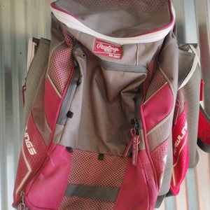 Rawlings Bat Bag (Used)