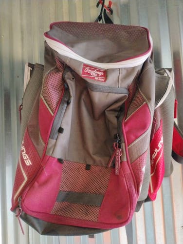 Rawlings Bat Bag (Used)