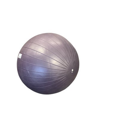 Used Body/Fit Ball Purple 65 cm 11479-S000402993