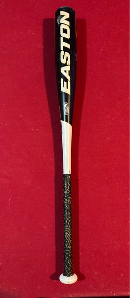 Easton USSSA Certified Bat (-10) 21 oz 31" (Used)