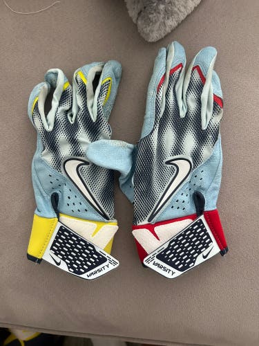Large Nike Alpha Elite Batting Gloves (Used)