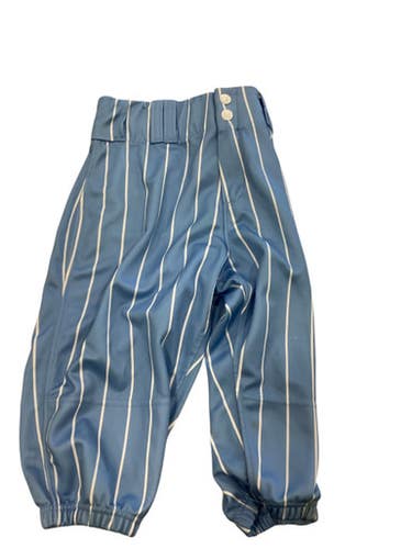 Used Alleson CAROLINA BLUE PINSTRIPE BB/SB Pant Boys Carolina Blue LG 11884-S000052069
