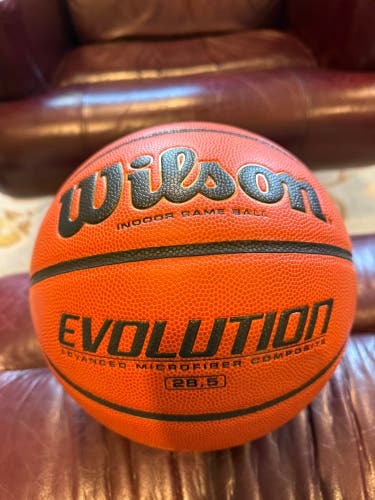 Wilson Basketball (Used)