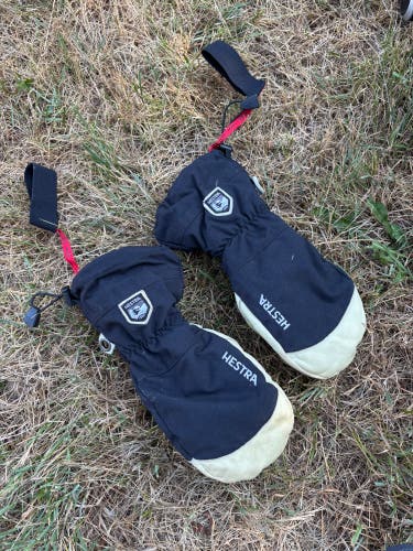 White Large Men's Hestra Gloves (Used)