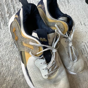 Team issued Notre dame lifting/athletic shoes