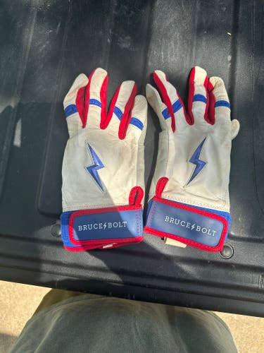 Large Batting Gloves (Used)