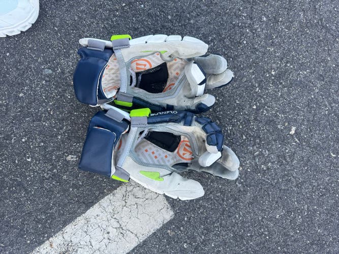 Chesapeake Bayhawks Warrior Lacrosse Gloves 13" (Used)