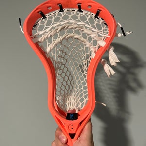 Warrior Evo QX-O Strung Head (Used)