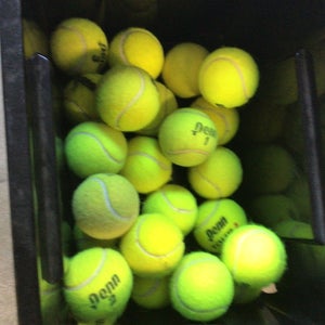 24 Penn Tennis Balls (Used)