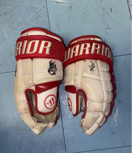Used Pro Stock Warrior AX1 Pro Gloves 14"