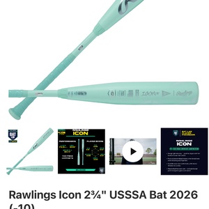 2026 Rawlings Icon Composite USSSA Certified Bat (-10) 20 oz 31" (New)