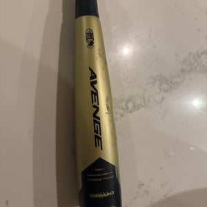 AXE Avenge Composite USSSA Certified Bat (-10) 19 oz 29" (Used)