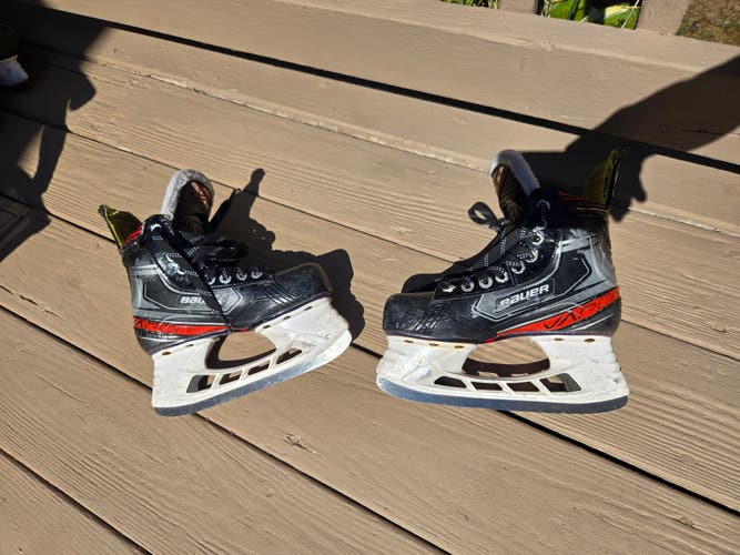 Bauer Vapor X2.9 Hockey Skates