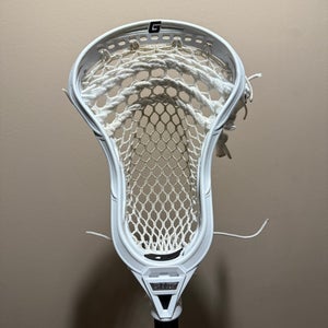 Gait Mustang Head with Hero 2.0