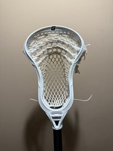 Gait Mustang Head with Hero 2.0