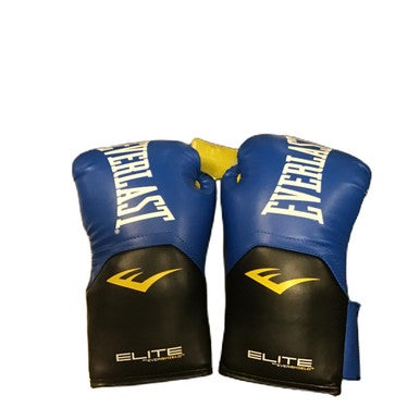 Used Everlast Boxing Gloves Royal Blue Senior 11730-S000066379