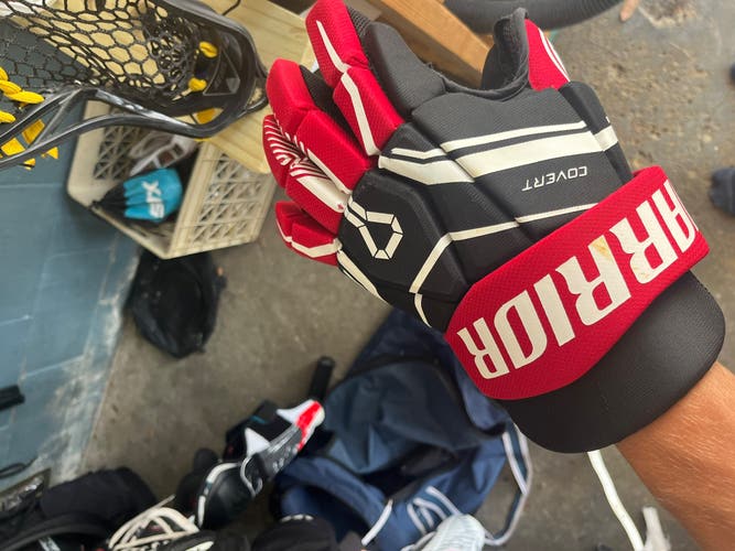 Warrior Gloves 12" (Used)
