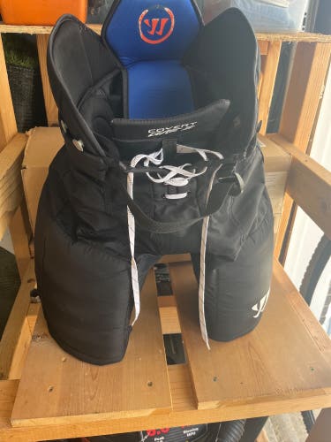 Junior Large Warrior Hockey Pants (Used)