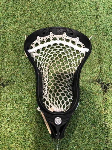 Black Box Warrior Evo 5 Strung Head (Used)
