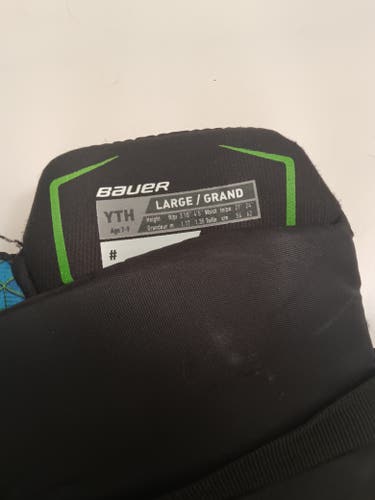 Men's Youth Large Bauer Bauer x Hockey Pants (Used)