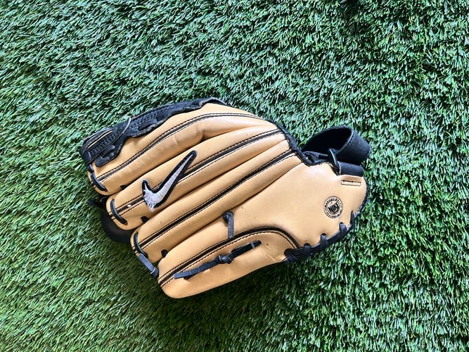 RH Nike Diamond Elite Baseball Glove 12" (Used)