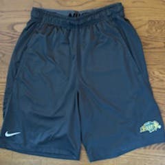 North Dakota State Bison Nike Dri-Fit Athletic Shorts Gray/Adult Small (Used - Excellent Condition)