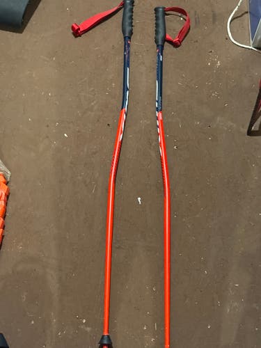46in (115cm) Swix GS Racing Ski Poles (Used)