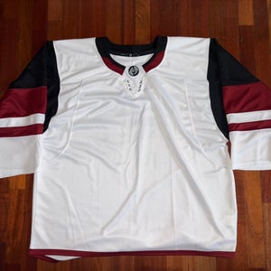 Arizona Coyotes Blank Hockey Monkey GC Goalie Cut Blank No Logo Jersey Worn Once