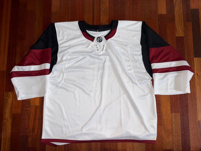 Arizona Coyotes Blank Hockey Monkey GC Goalie Cut Blank No Logo Jersey Worn Once
