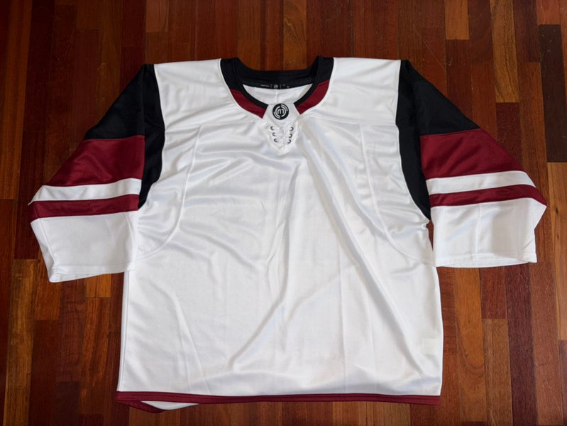 Arizona Coyotes Blank Hockey Monkey GC Goalie Cut Blank No Logo Jersey Worn Once