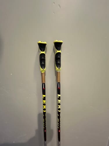 36in (90cm) Jr Leki World Cup Lite GS Racing Ski Poles (Used)