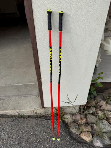 50in (125cm) Leki Racing World Cup - GS Ski Poles (Used)